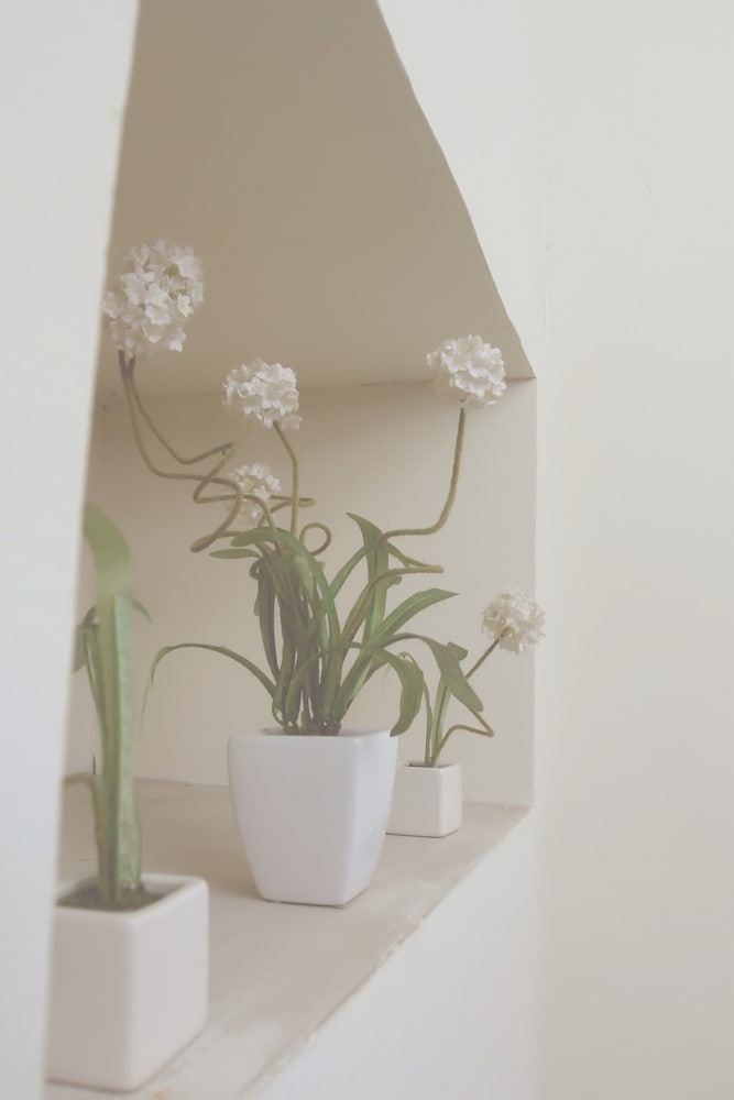 Standard Single Room photo 2