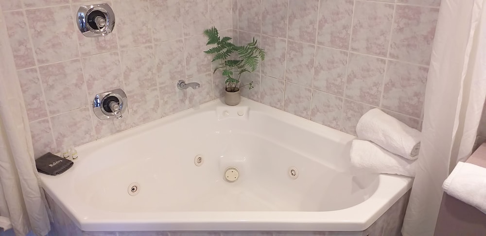 Studio with Spa Bath photo 2
