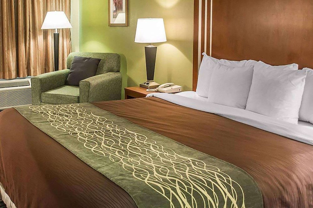 Room, 1 King Bed, Non Smoking - Photo 1
