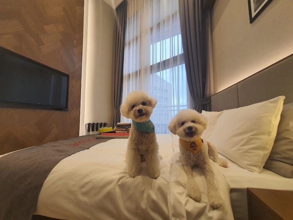 Standard Double Room, Pet Friendly