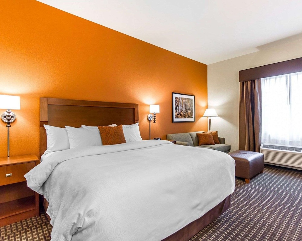 Efficiency, Suite, 1 King Bed with Sofa bed, Non Smoking photo 1