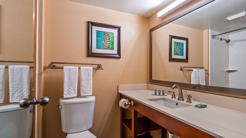 Suite, 1 King Bed, Non Smoking, Refrigerator & Microwave (with Sofabed) - Photo 5