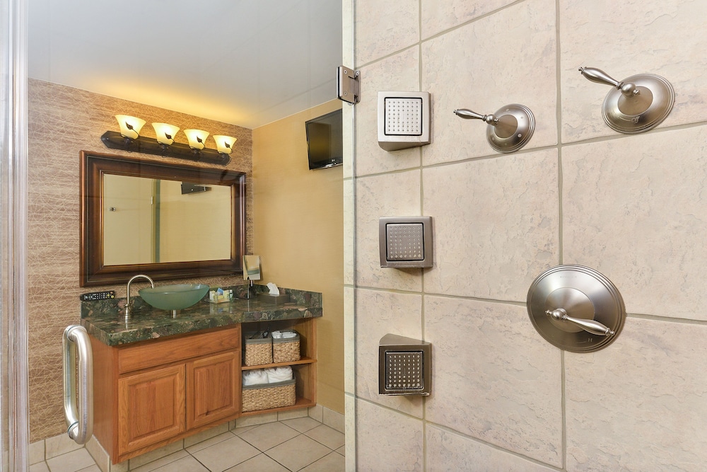 Suite, 1 Bedroom - Photo 7