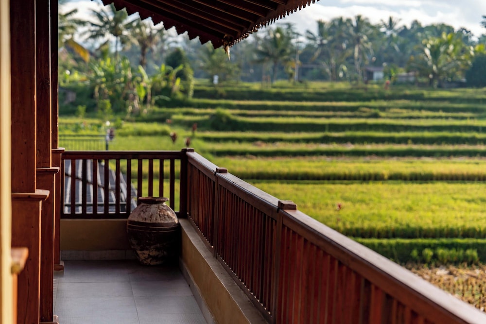 One Bedroom Deluxe with Plunge Pool - Photo 9