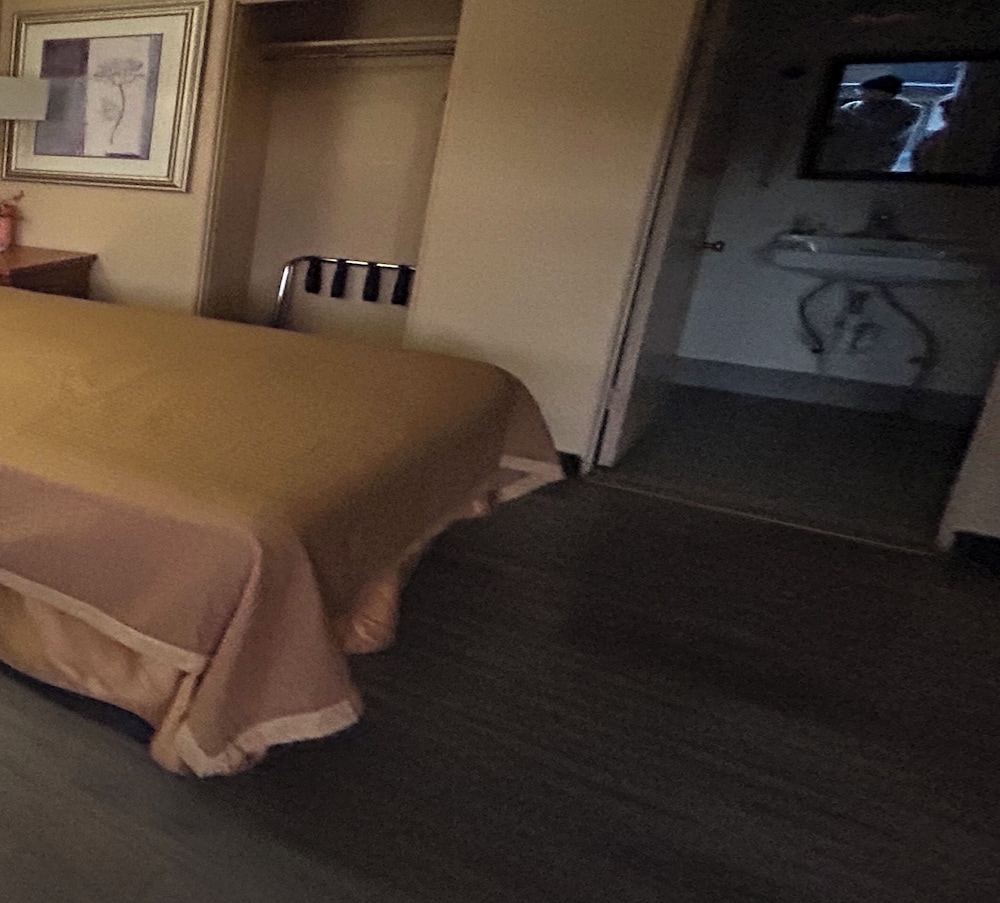 Deluxe Room, 2 Queen Beds, Non Smoking, Refrigerator & Microwave - Photo 1