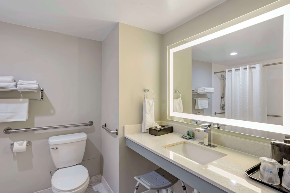 Standard Room,1 King Bed, Accessible, Roll-in Shower, Refrigerator & Microwave - Photo 5