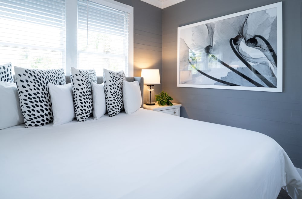 Standard Room, 1 King Bed, Refrigerator (Room 1) photo 3