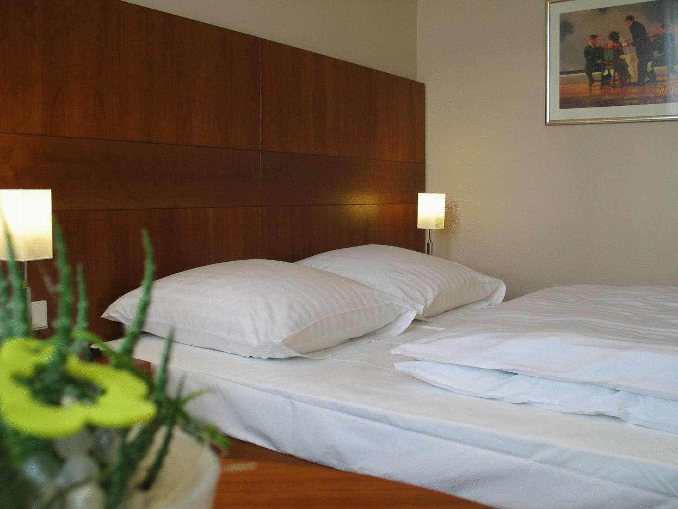 Single Room photo 1
