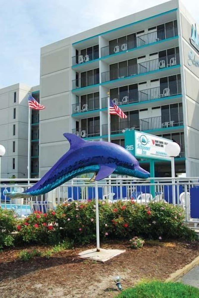 Deluxe Room, 2 Double Beds, Kitchenette, Ocean View - Photo 11