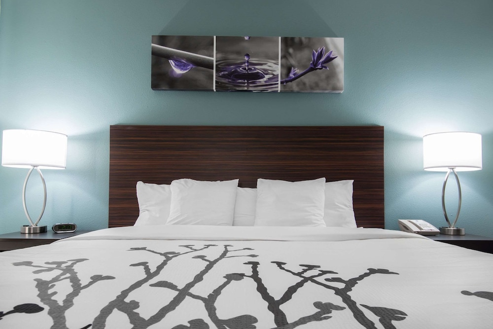 Standard Room, 1 King Bed, Non Smoking - Photo 1