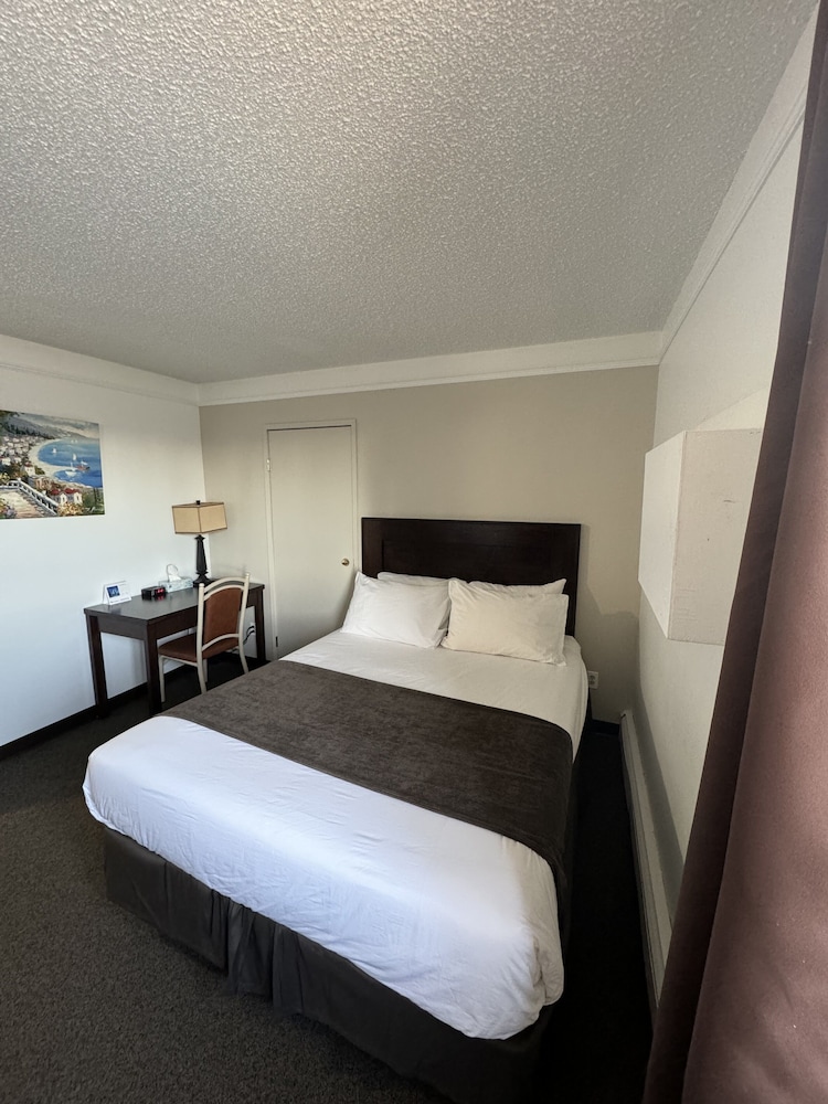 Basic Single Room - Photo 1