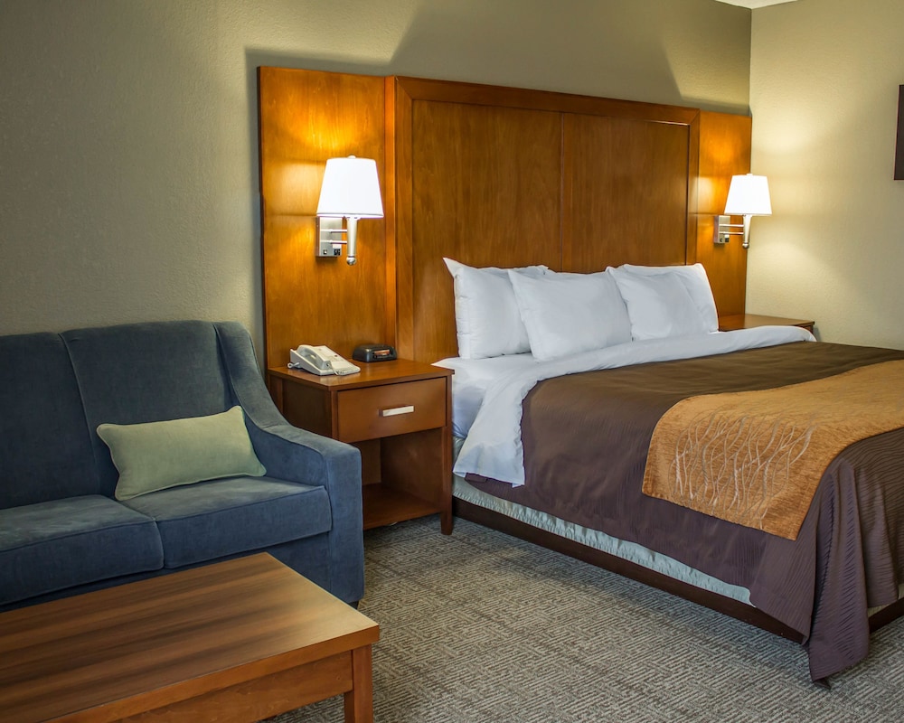 Standard Room, 1 King Bed with Sofa bed, Non Smoking - Photo 5