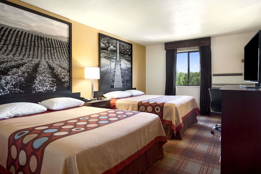 Room, Multiple Beds, Microwave - Photo 1