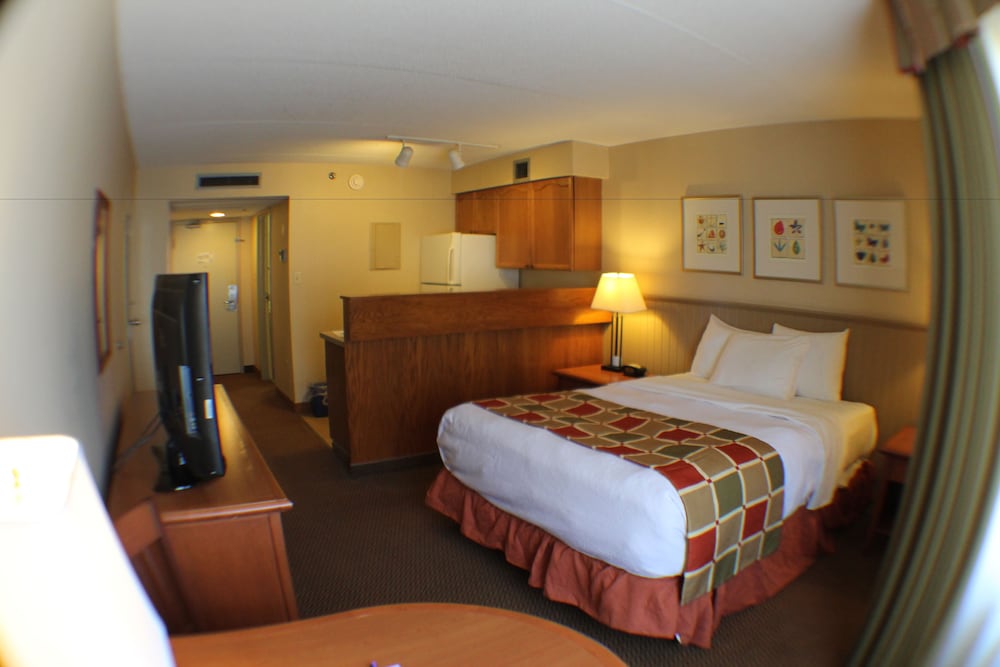 Renovated 1 Queen Bed Studio - Conference Centre photo 2