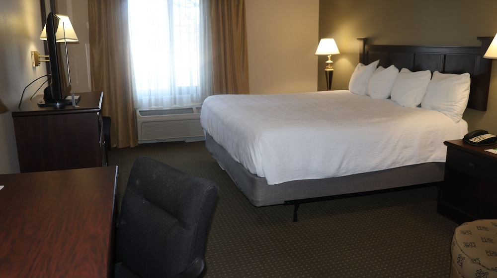 Room, 1 King Bed, Mobility Accessible (Roll-In Shower) - Photo 3