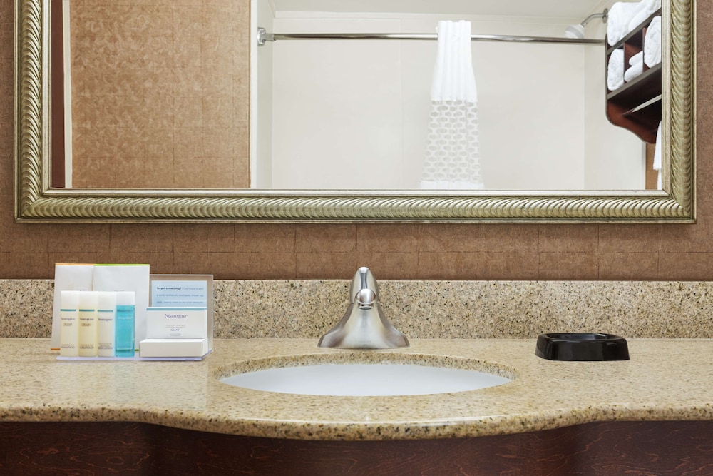 Standard Room, 1 King Bed, Jetted Tub photo 3