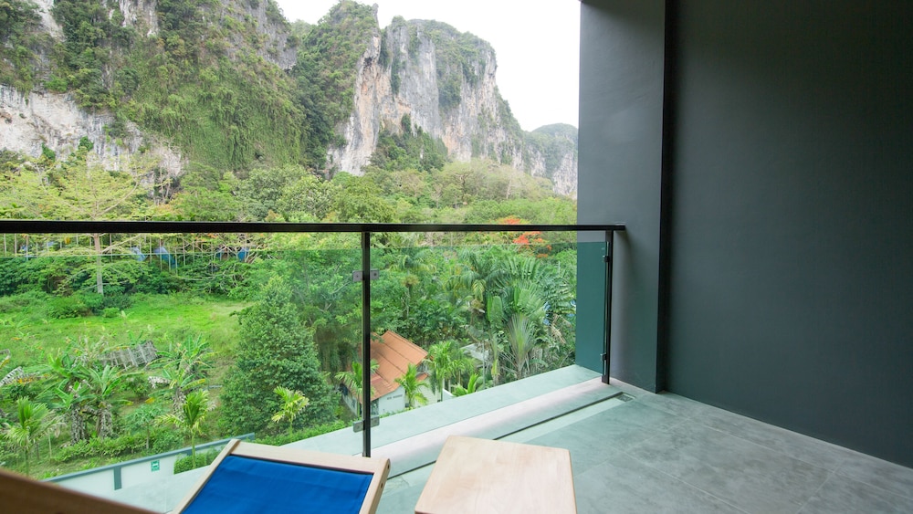Deluxe Mountain View Room - Photo 9