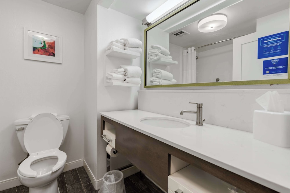 Suite, 1 King Bed, Accessible, Non Smoking (Mobility & Hearing - Roll-in Shower) - Photo 1
