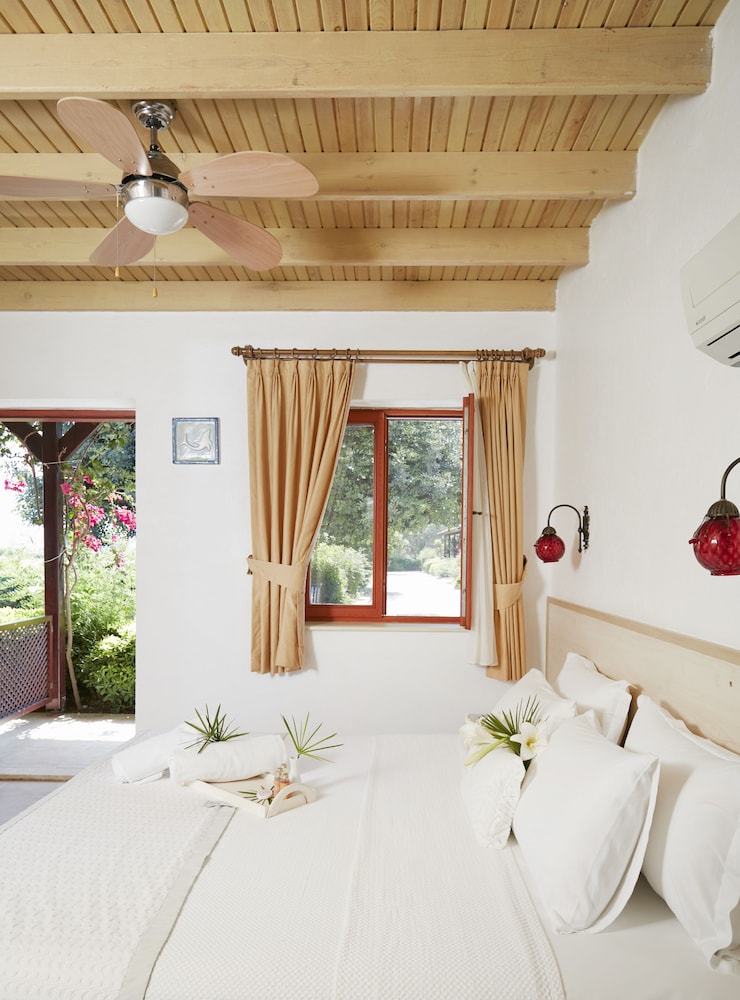 Standard Double or Twin Room photo 1