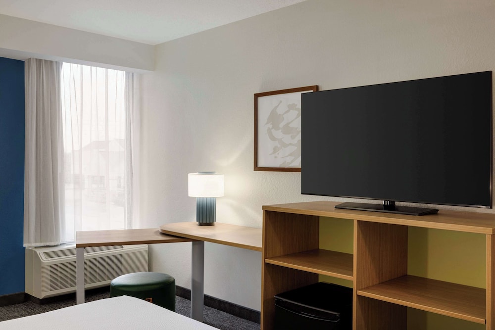 Room, 1 King Bed, Accessible (Mobility & Hearing, Roll-in Shower) - Photo 1