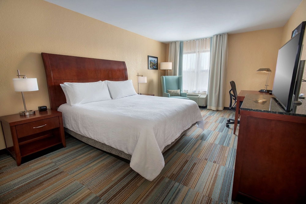 Suite, 1 Bedroom, Accessible (Roll-in Shower) - Photo 2