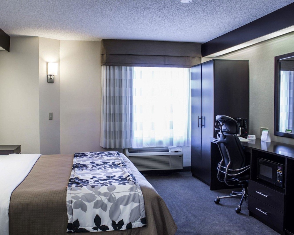 Room, 1 Queen Bed, Accessible, Non Smoking photo 1