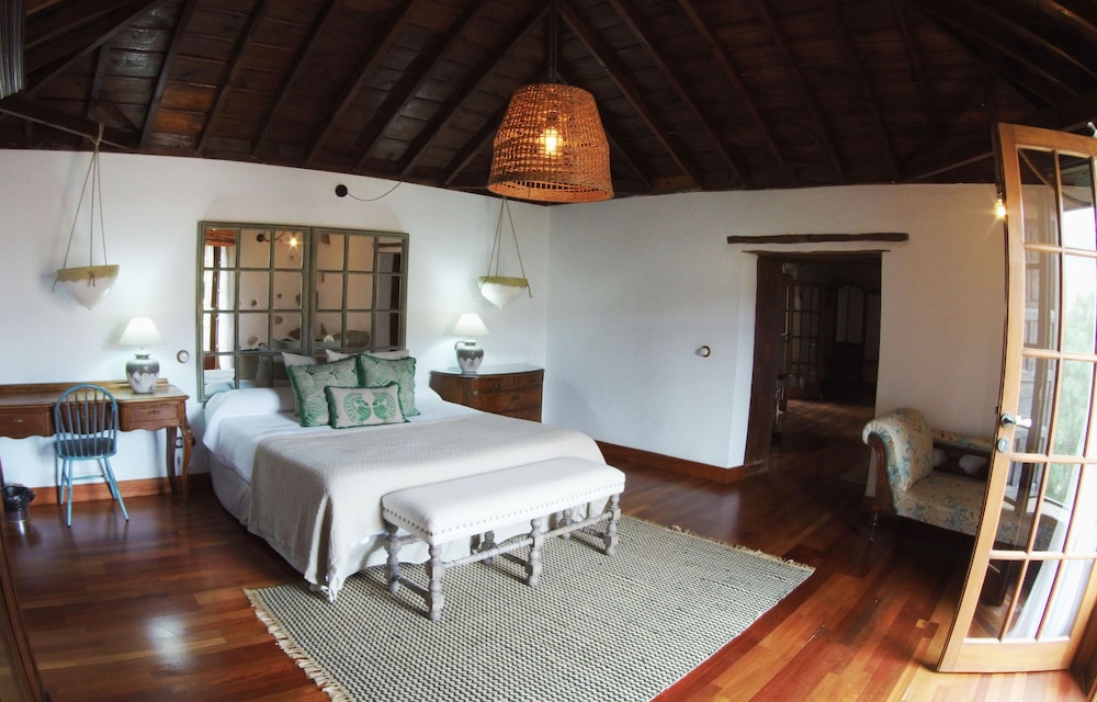 Suite (#5 La Oliva)