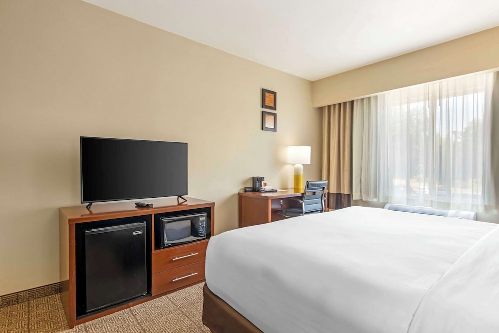 Suite, 1 King Bed with Sofa bed, Non Smoking - Photo 5