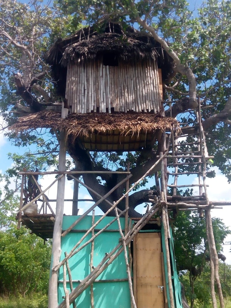 Basic Tree House photo 1