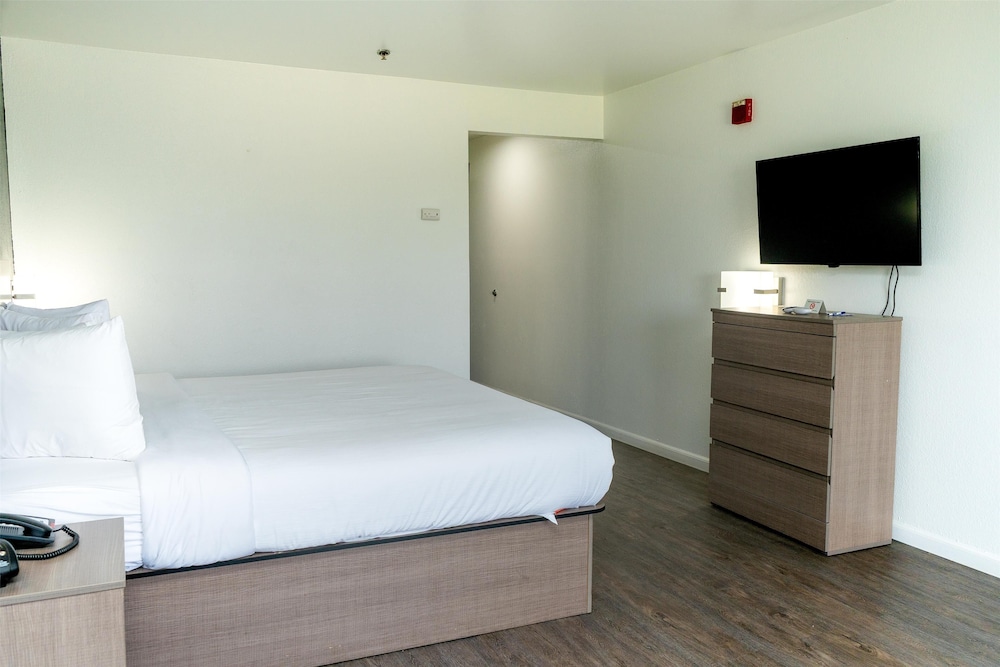Room, 1 King Bed