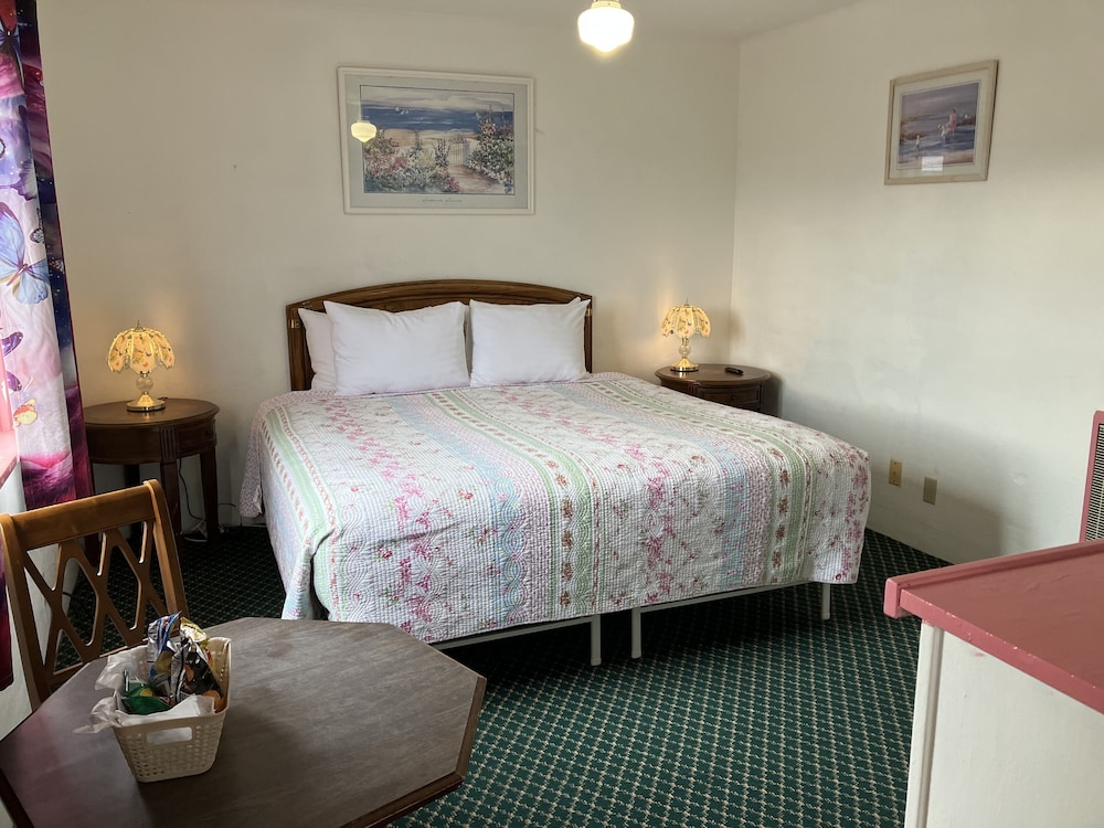 Standard Single Room, 1 King Bed - Photo 4