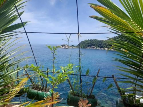 Superior Studio with Sea View photo 1