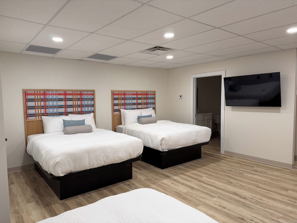 Premier Studio Suite, Multiple Beds photo 3