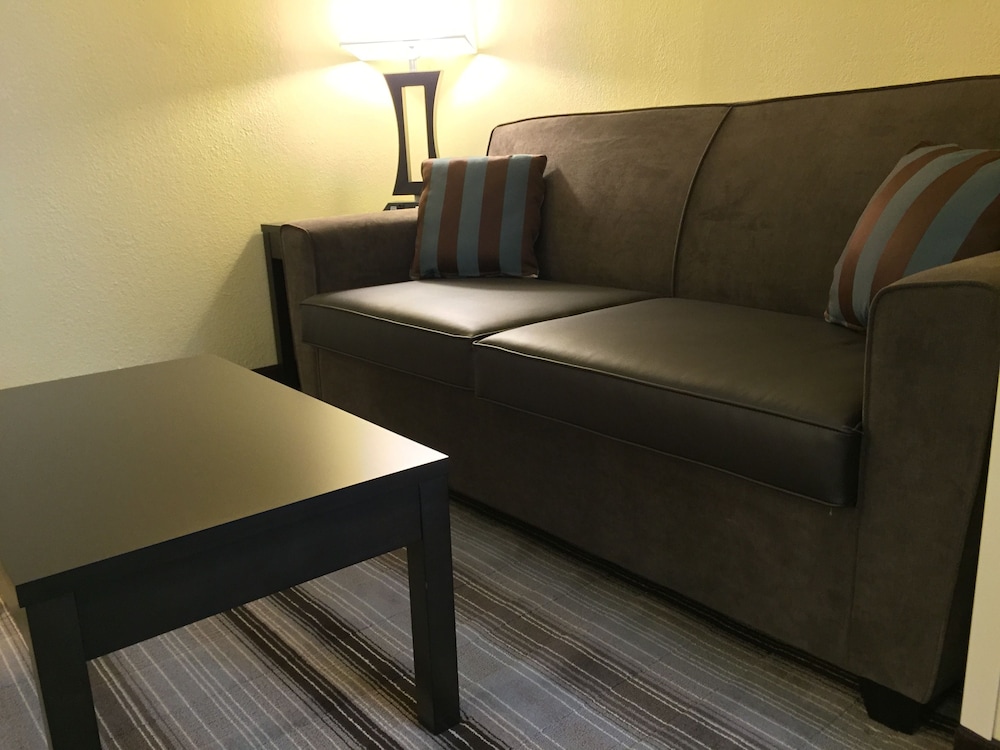 Holiday Inn Express Chicago NW - Arlington Heights by IHG, Zdjęcie 10