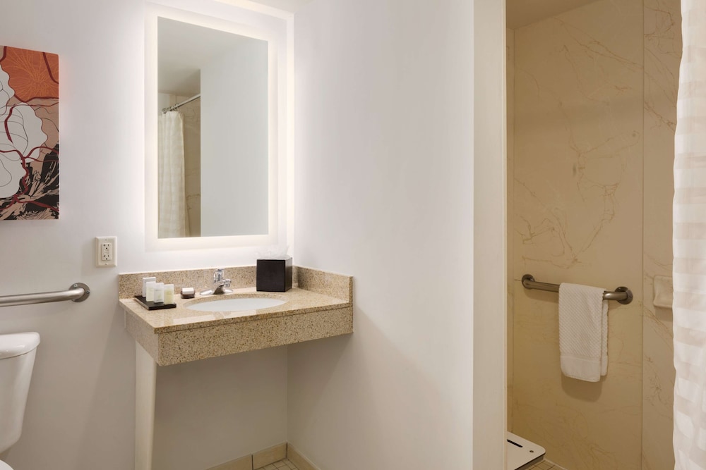 Suite, 1 King Bed, Accessible, Bathtub (Mobility & Hearing) - Photo 6