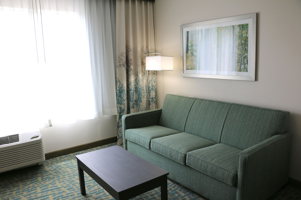 Suite, 1 King Bed, Accessible (Roll-In Shower)