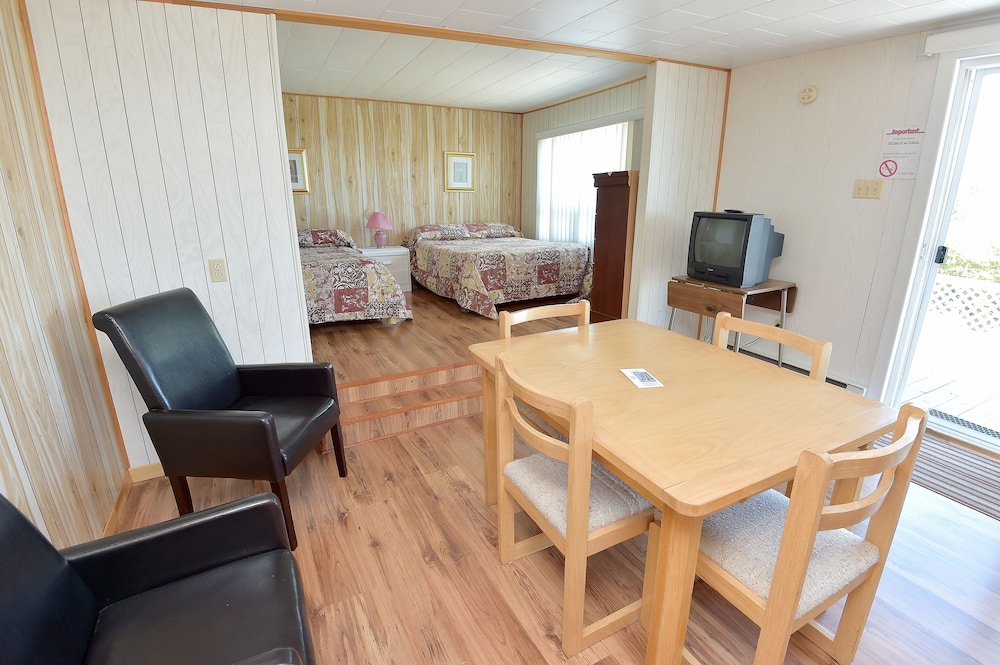 Studio, 2 Double Beds photo 1