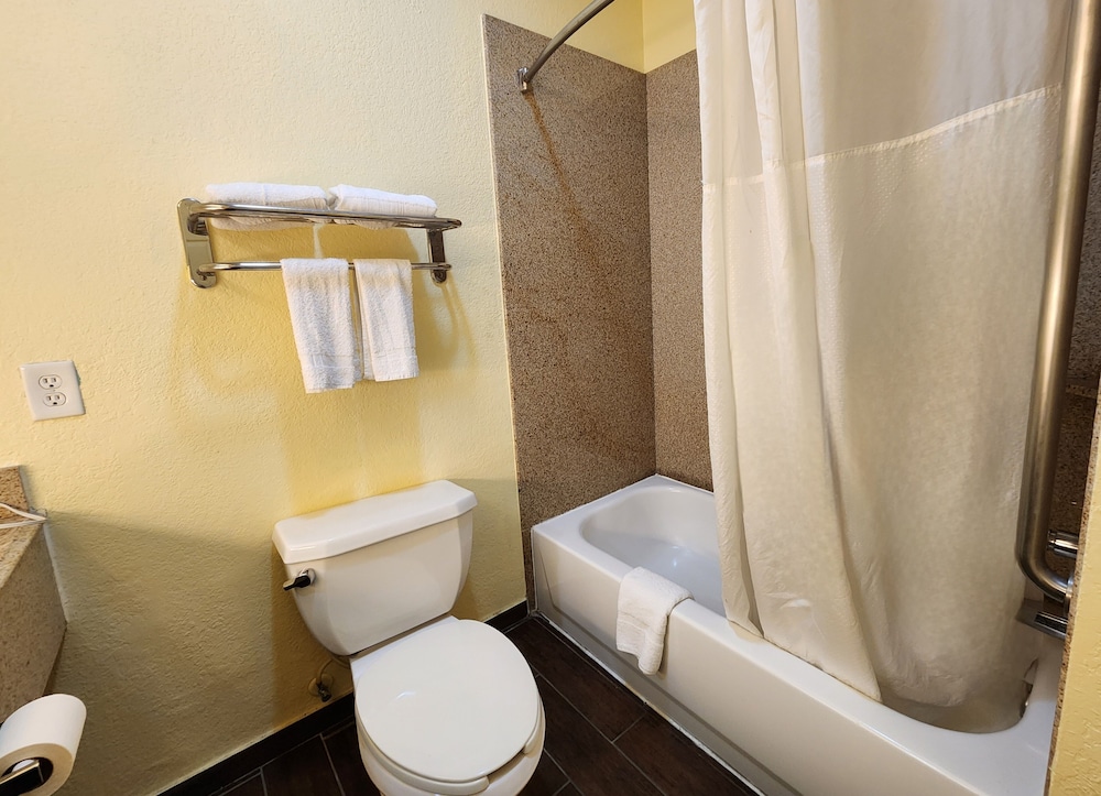 Deluxe Studio Suite, 1 King Bed, Non Smoking - Photo 12