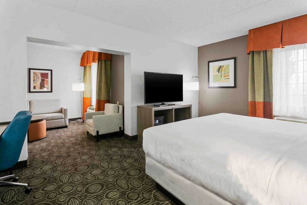 Suite, 1 King Bed, Non Smoking - Photo 5
