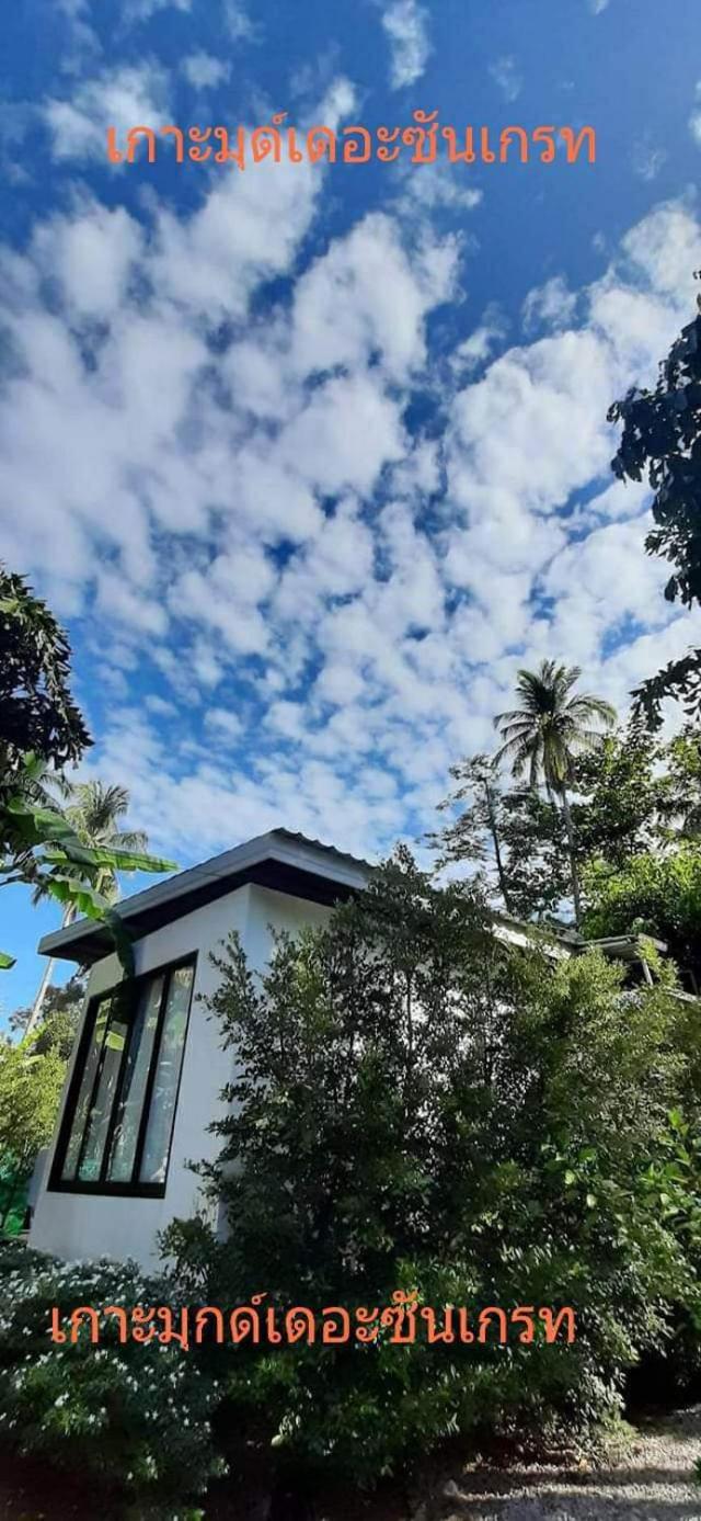 Triple Room with Terrace