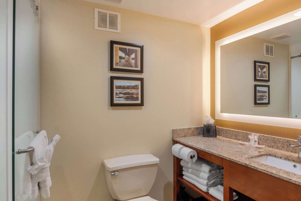 Studio Suite, Multiple Beds - Photo 1