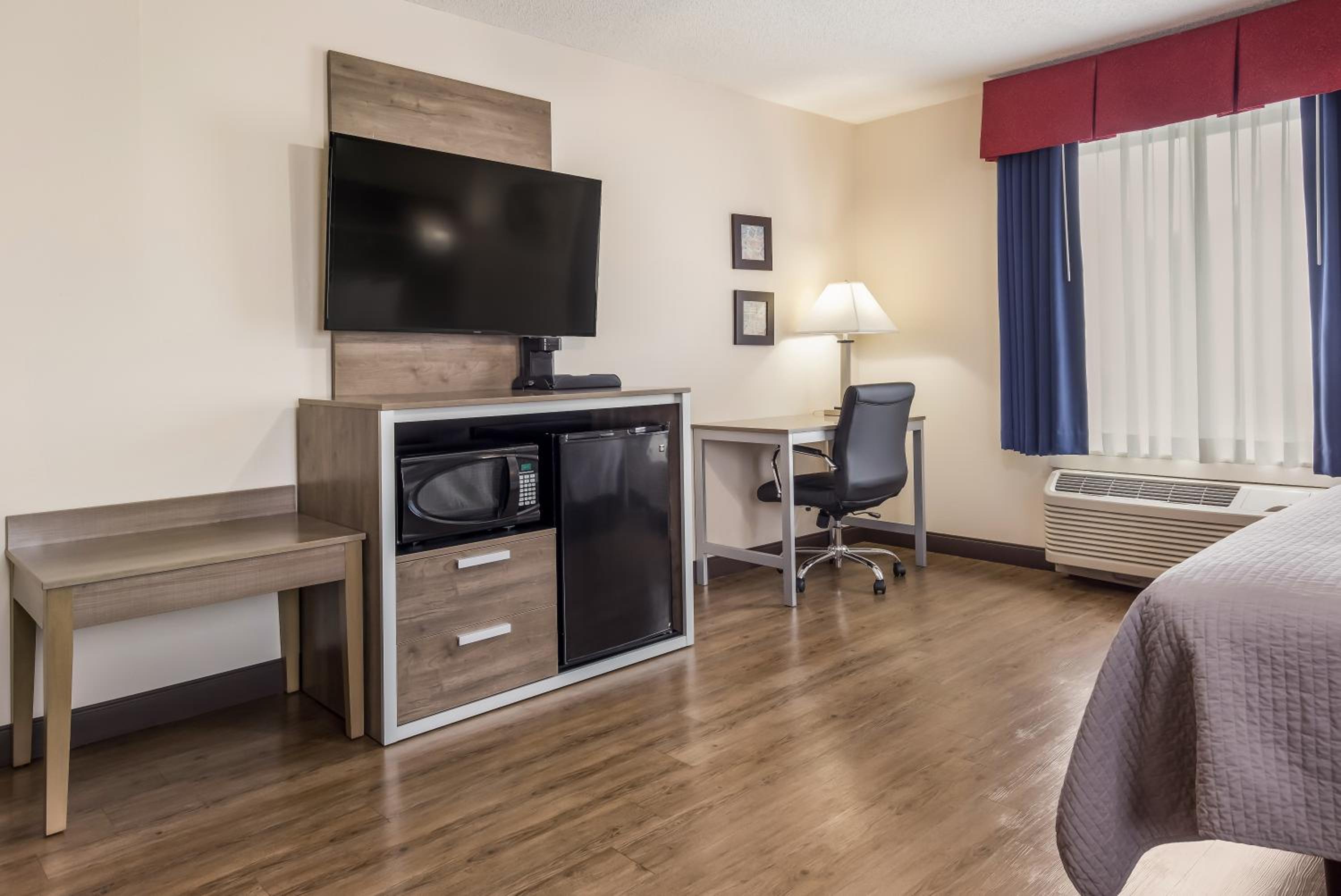 Suite - Photo 1
