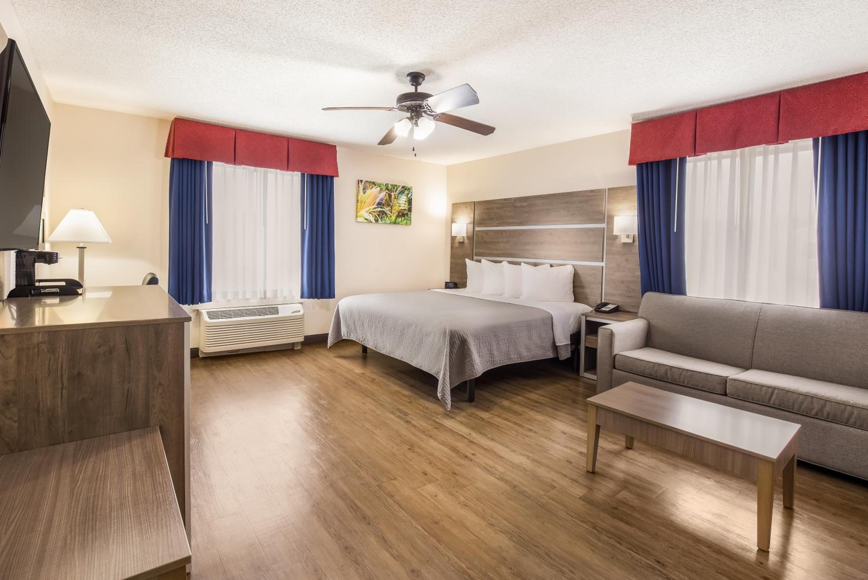 Suite - Photo 3