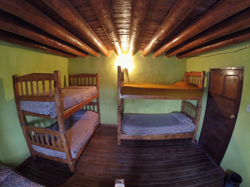 Shared Dormitory photo 2