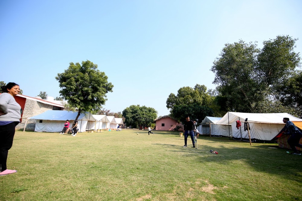 Deluxe Tent photo 2