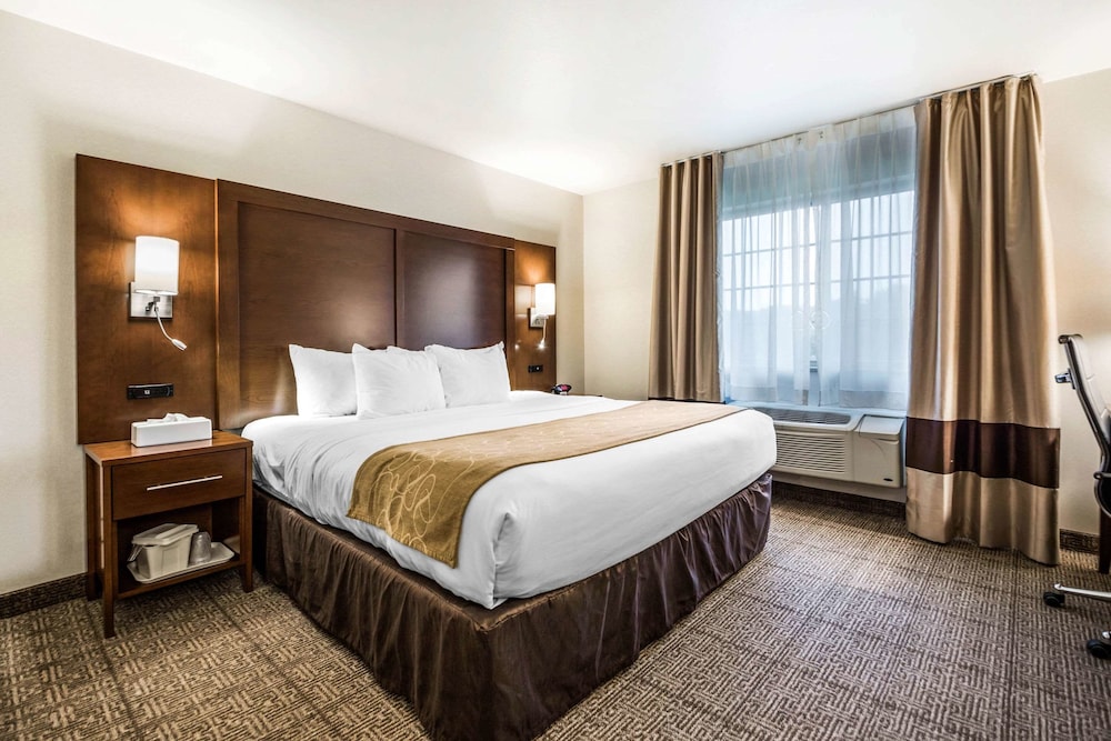 Suite, 1 King Bed, Accessible, Non Smoking - Photo 5