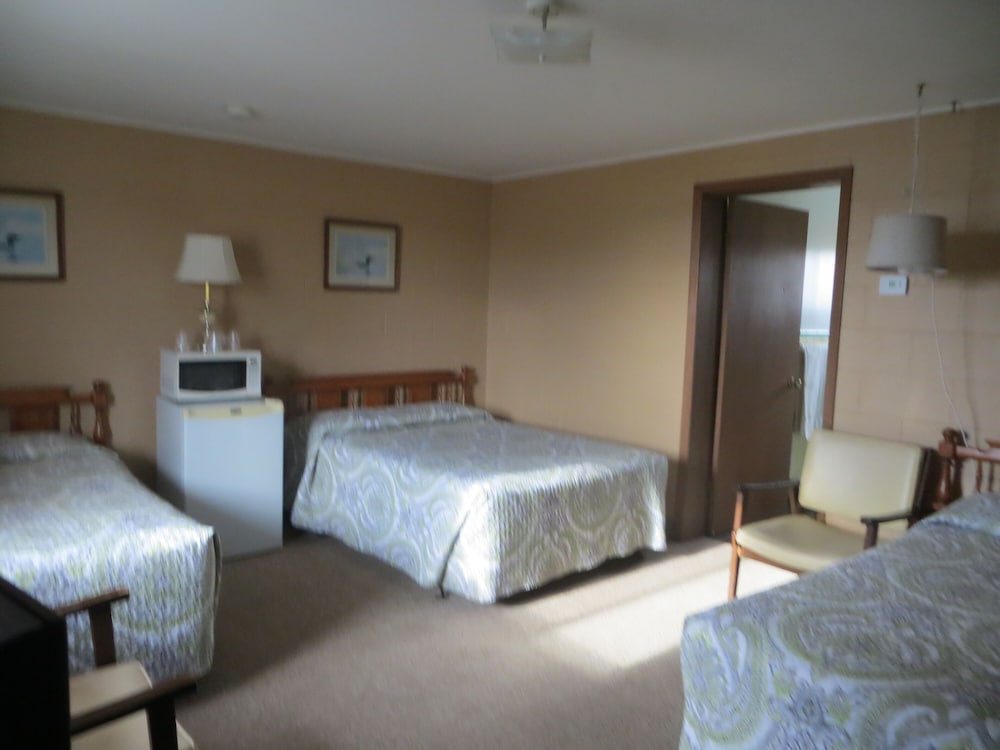 Room, Multiple Beds photo 1
