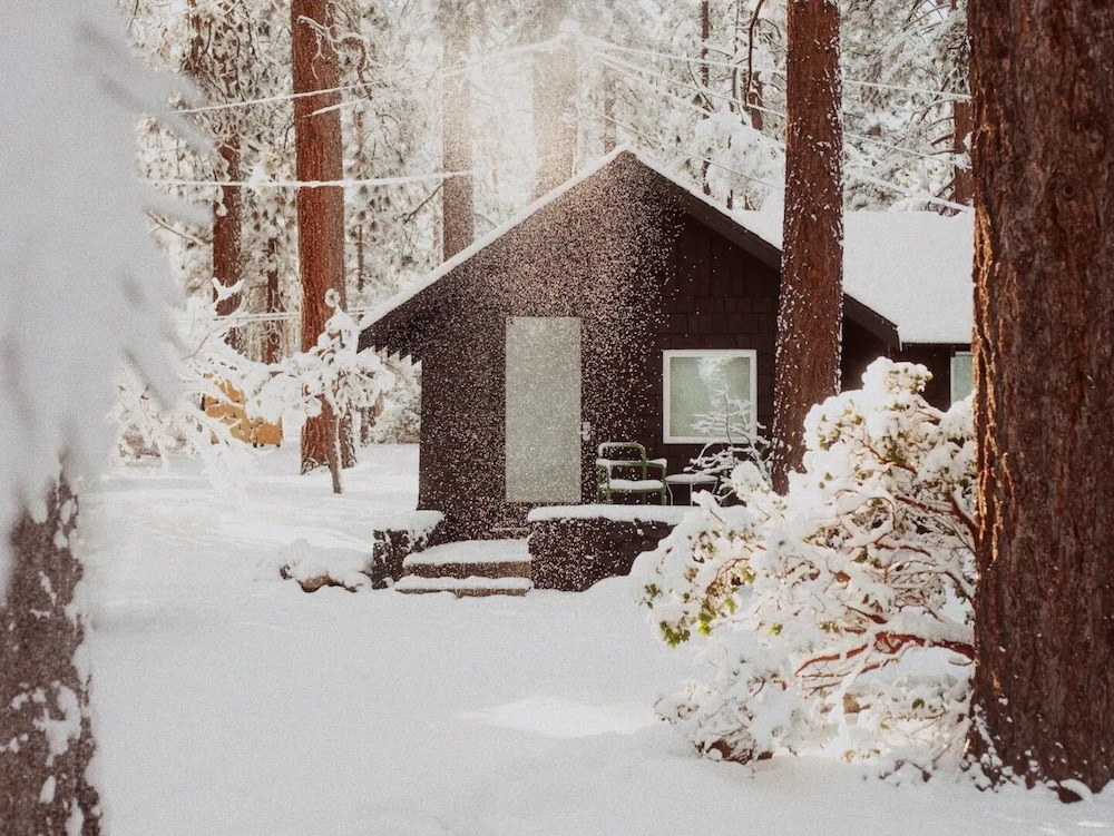 Premier Cabin, 1 Queen Bed, Garden View (C3) photo 1