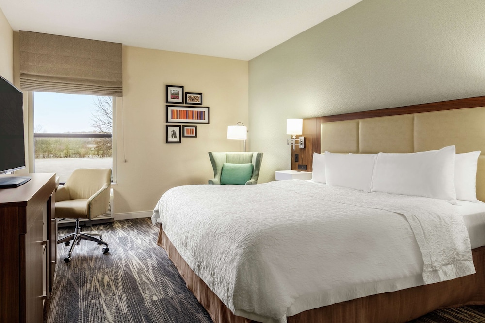 Room, 1 King Bed, Accessible photo 1