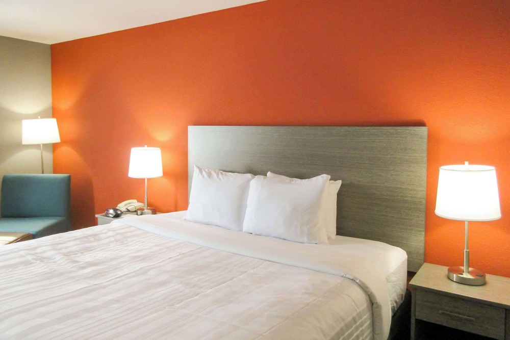 Standard Room, 1 King Bed, Non Smoking